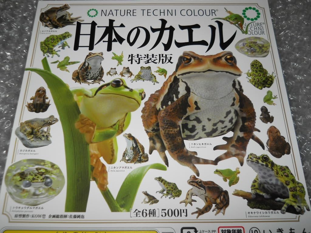 ネイチャーテクニカラー 日本のカエル 【ニホンヒキガエル】 NTC 日本